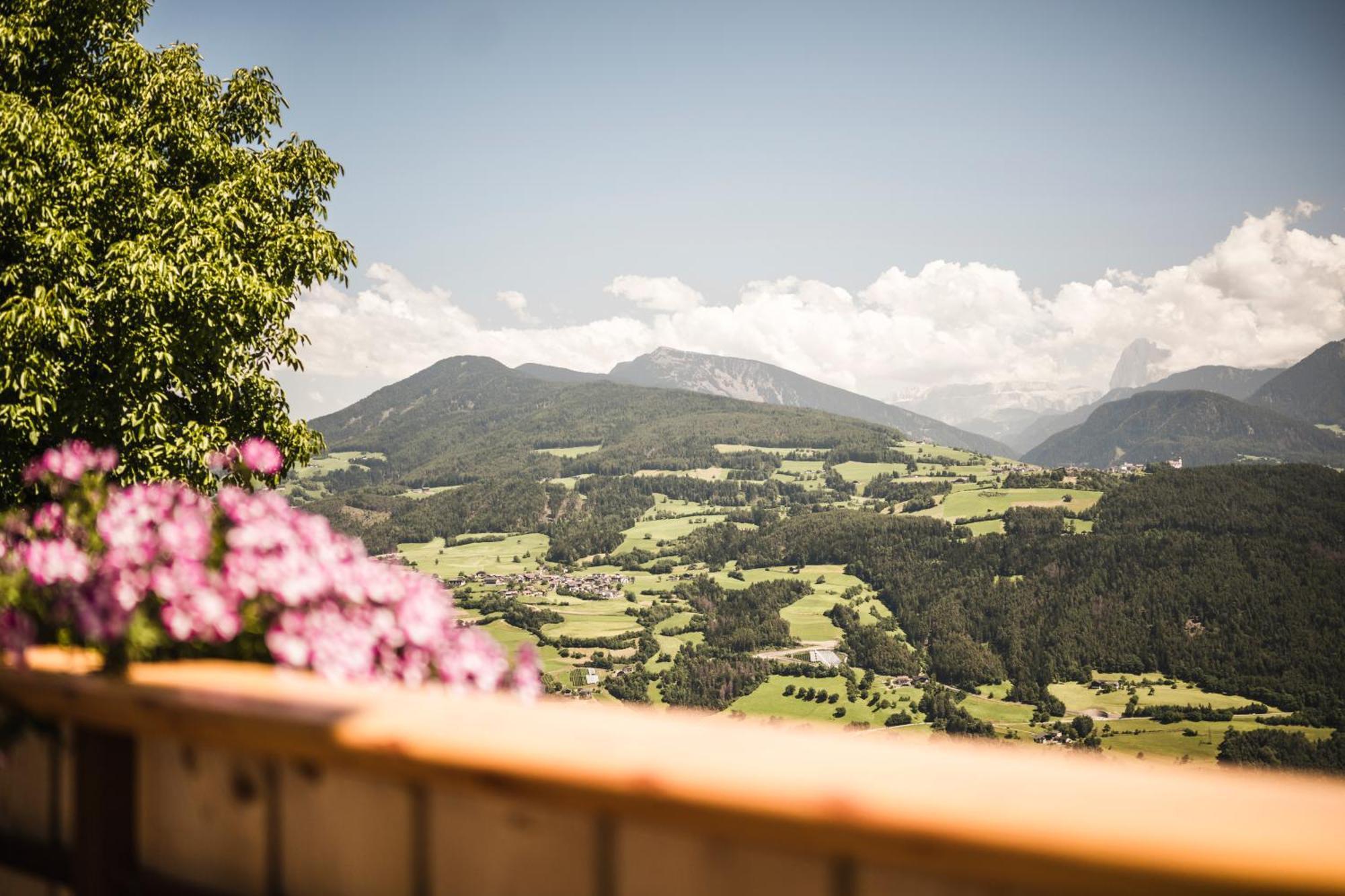 Boutique Pension Erlacher - Adults Only Villanders Exterior foto